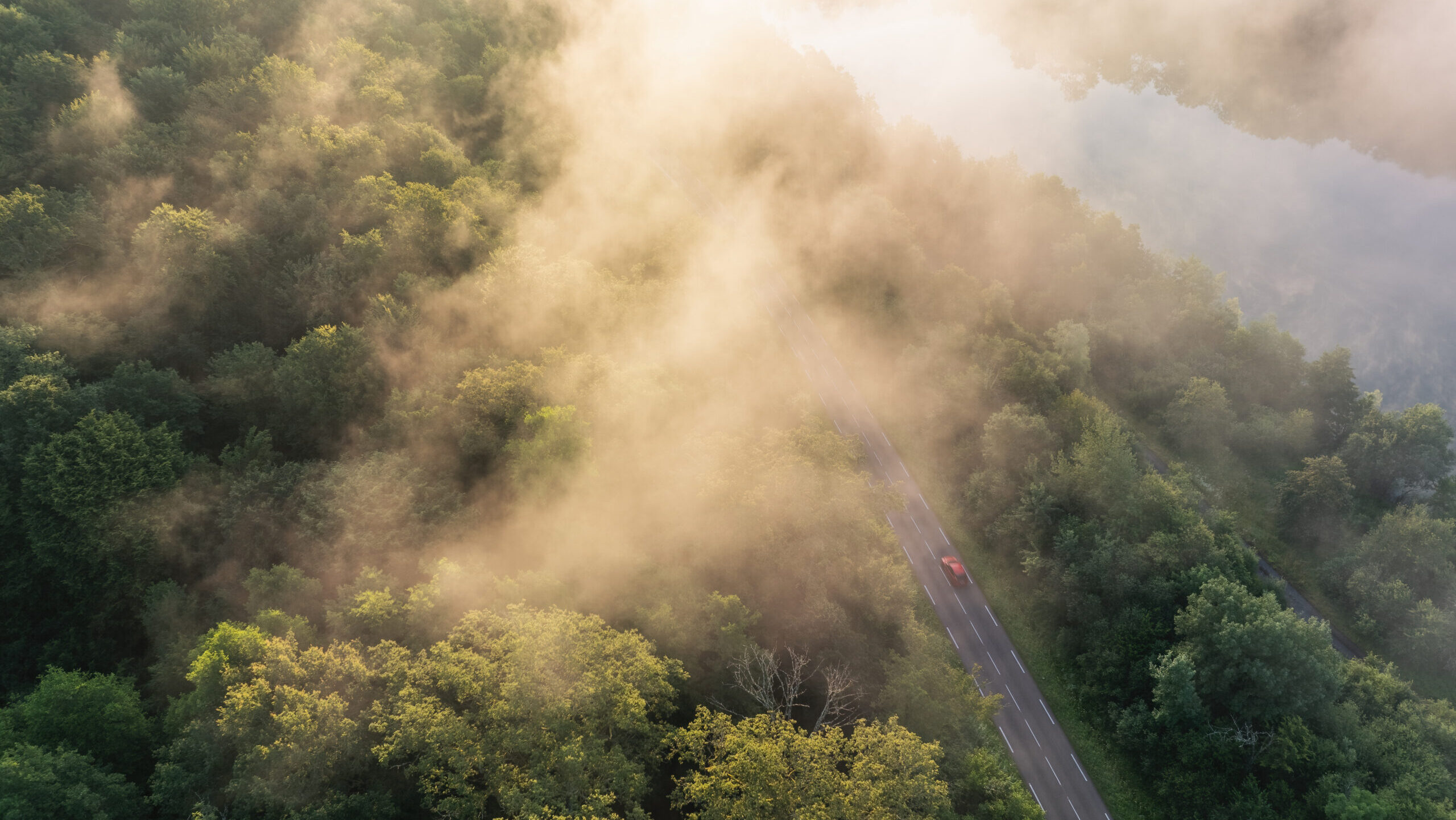 Stellantis sees surging registrations in EU new-car market