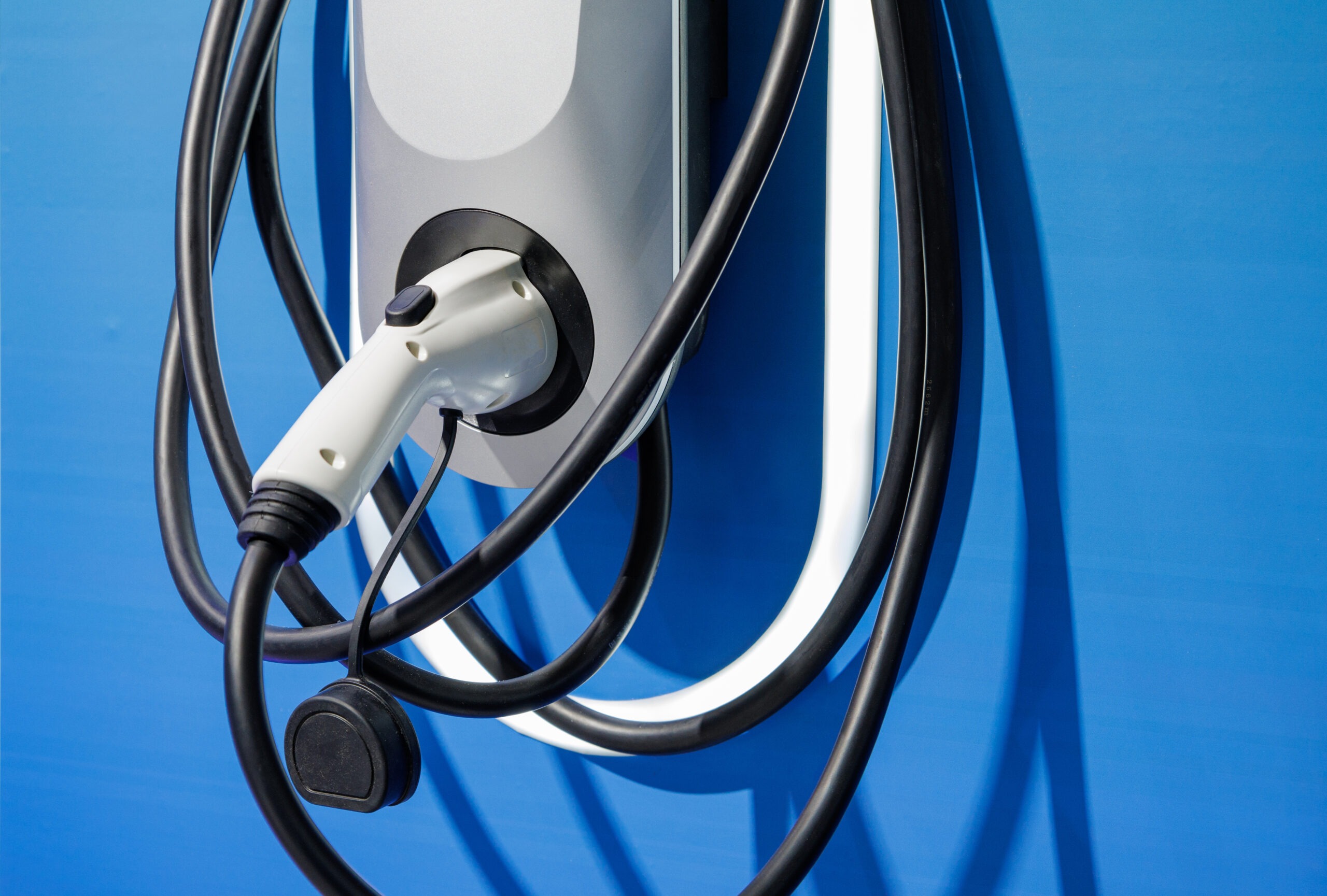 Which EVs came out on top in China’s slowing market?